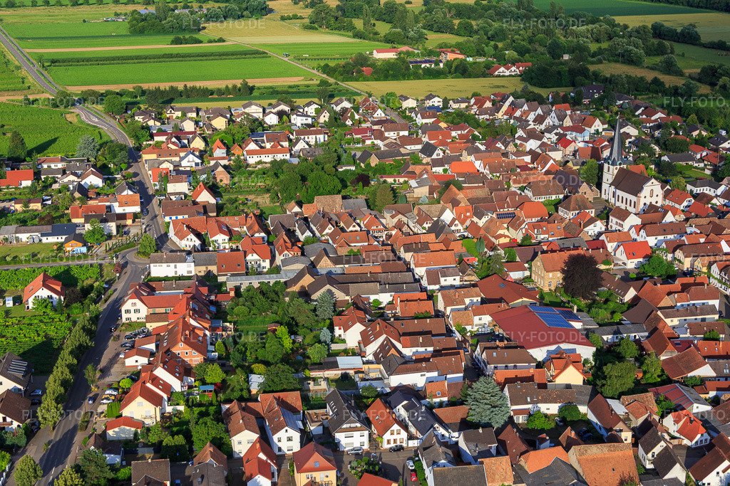 Luftbild: Schafstr in Venningen im Bundesland Rheinland-Pfalz in Deutschland. Foto: IMG_090120.jpg vom 26.06.2016 durch Werner Riehm/FLY-FOTO.de
