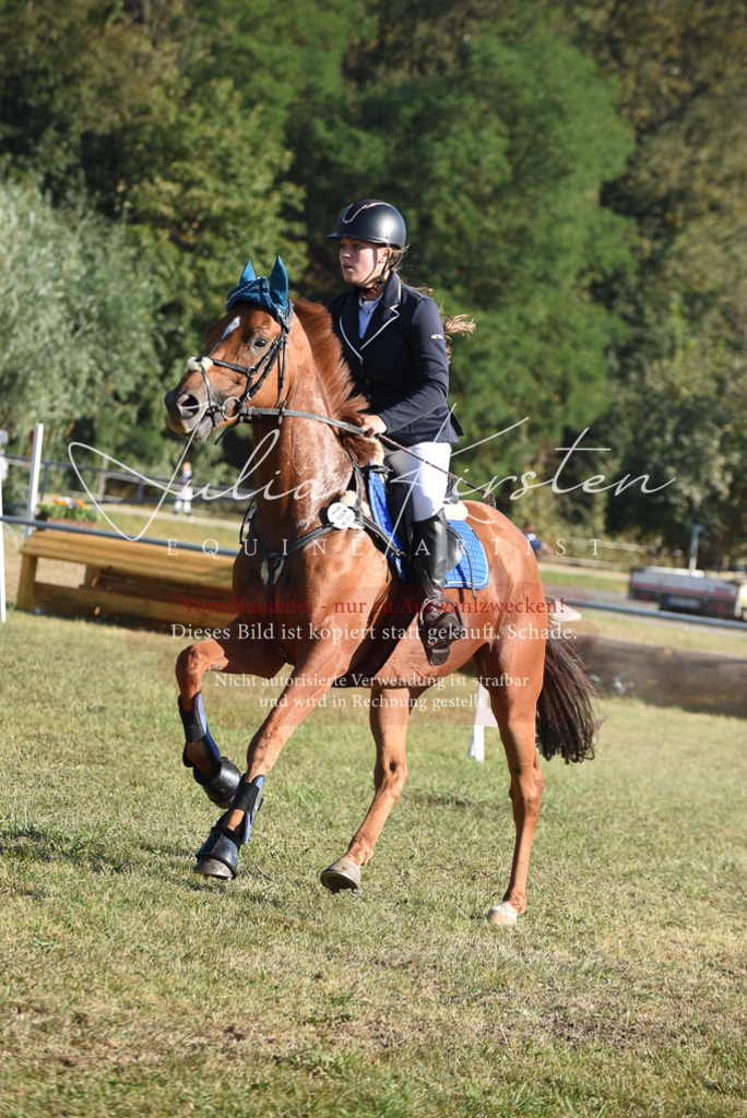 DSC_5233 | Pferde- und Turnierfotografie in Westsachsen. Pferdeportraits, Auftragszeichnungen und intuitive Kunst.
