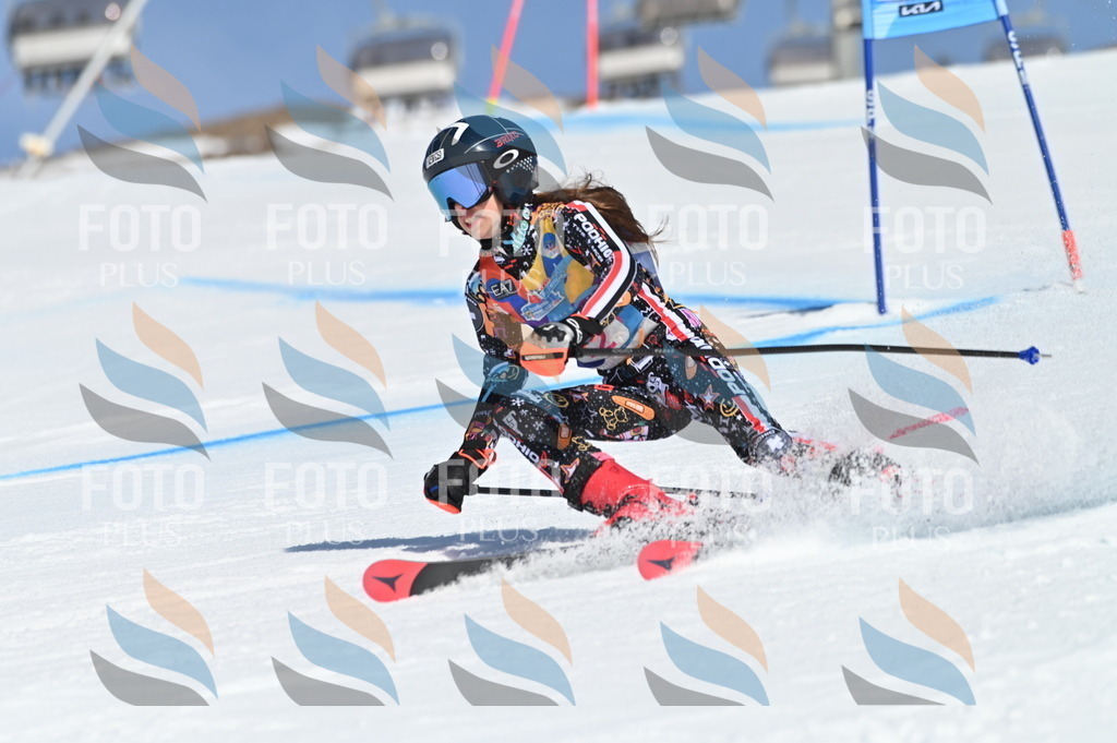 BGV_8950 | holidayphoto