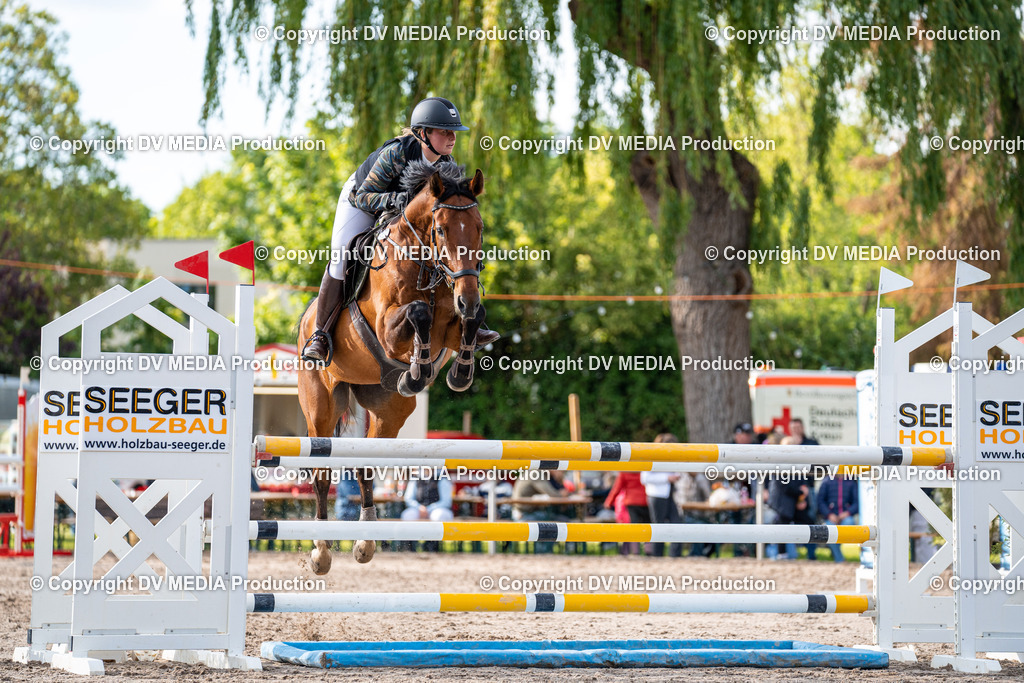 Eppelheim Tag 1-471 | dv-media-shop - Realisiert mit Pictrs.com