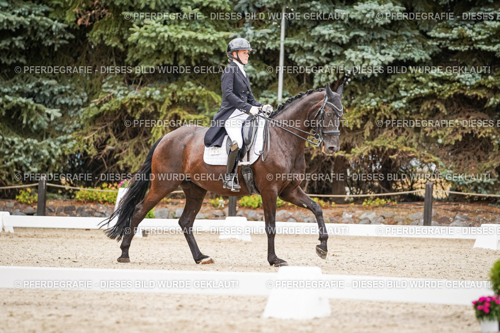 DSC07146 | Pferdegrafie