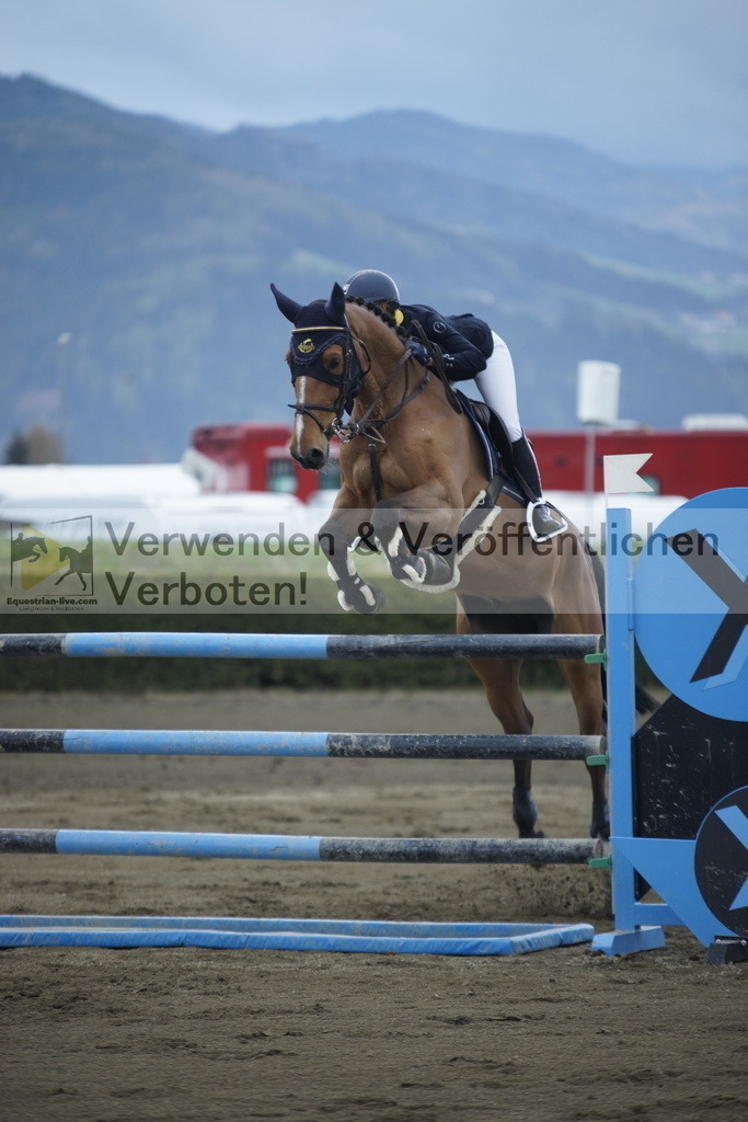 _DSC8293 | equestrian-live-com