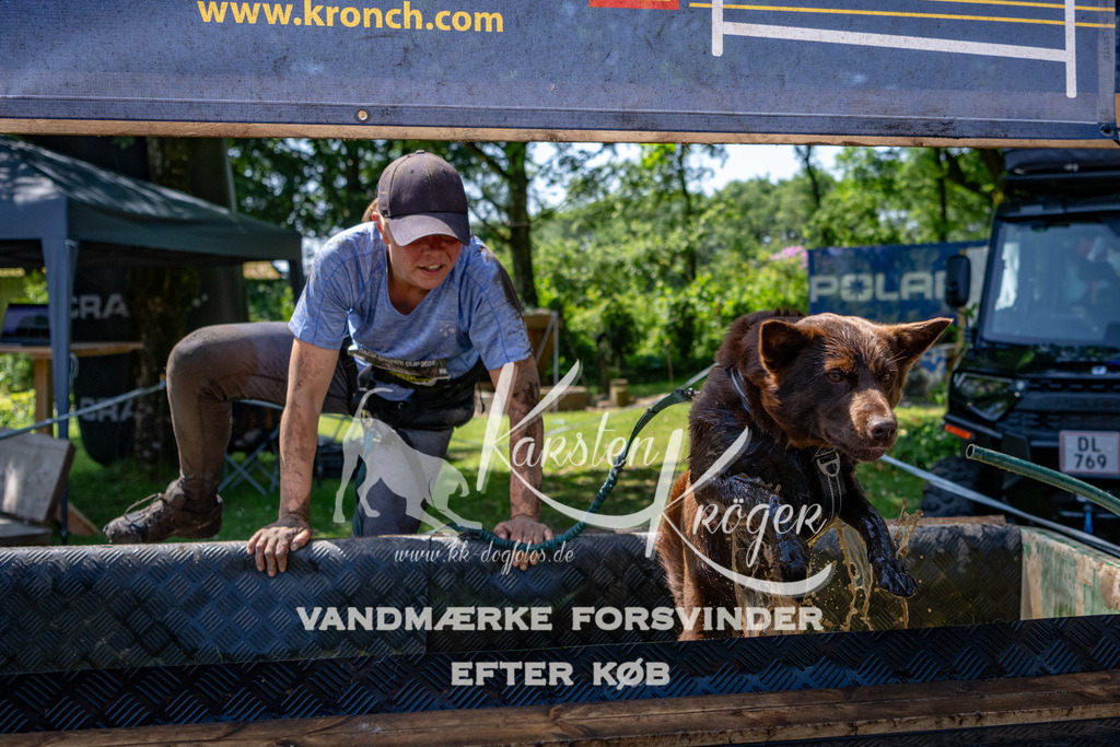 1252_ZZ90285 | kk-dogfotos