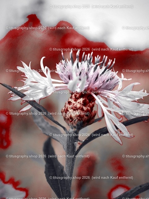 titusgraphy_PA151522-vz-ln_pe_pe-02 | titusgraphy-shop: Geschenkideen mit Qualitätsfotos. titusgraphy-shop: gift ideas with quality photos. titusgraphy-shop: idées cadeaux avec photos de qualité.  - Realisiert mit Pictrs.com