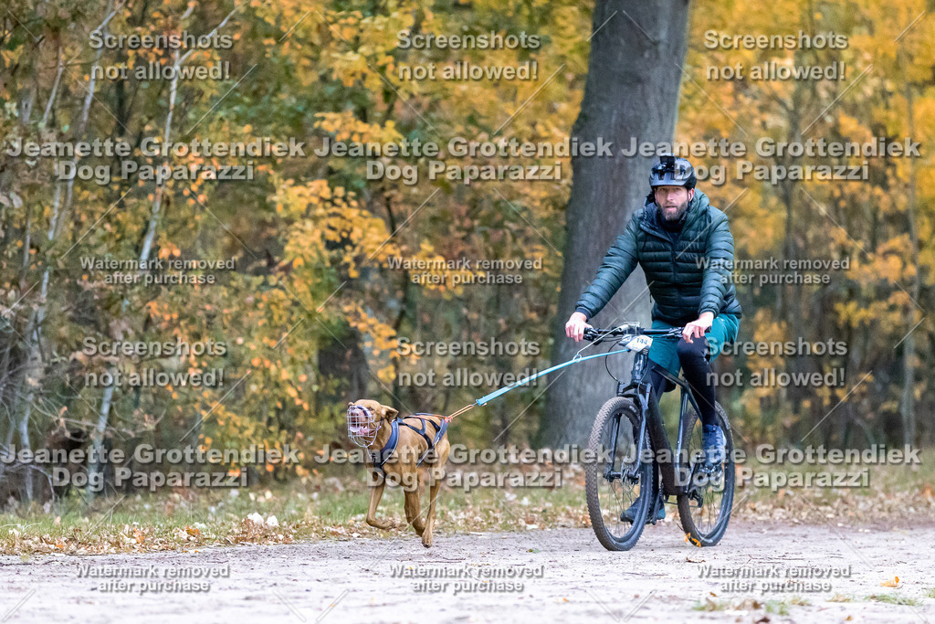 Dog Paparazzi - SD CaniX Championship 2025-49 | Dog Paparazzi Jeanette Grottendiek Fotografie & Videografie - Realisiert mit Pictrs.com