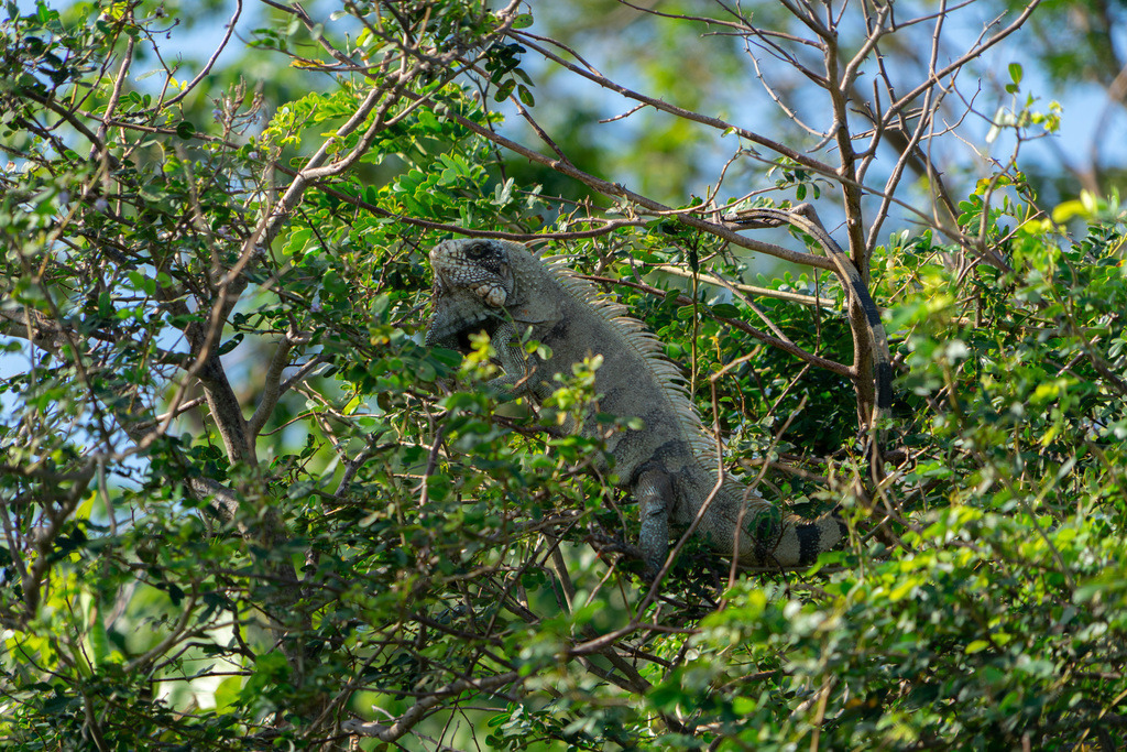 20251116-DeltaTour-0025 | paulependelt - Realisiert mit Pictrs.com