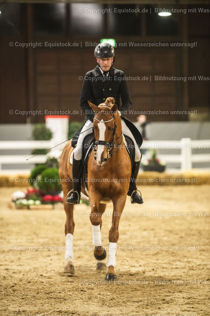 20240302_Hengstvorstellung_Marbach_TOMsPiC_0909 | equistock