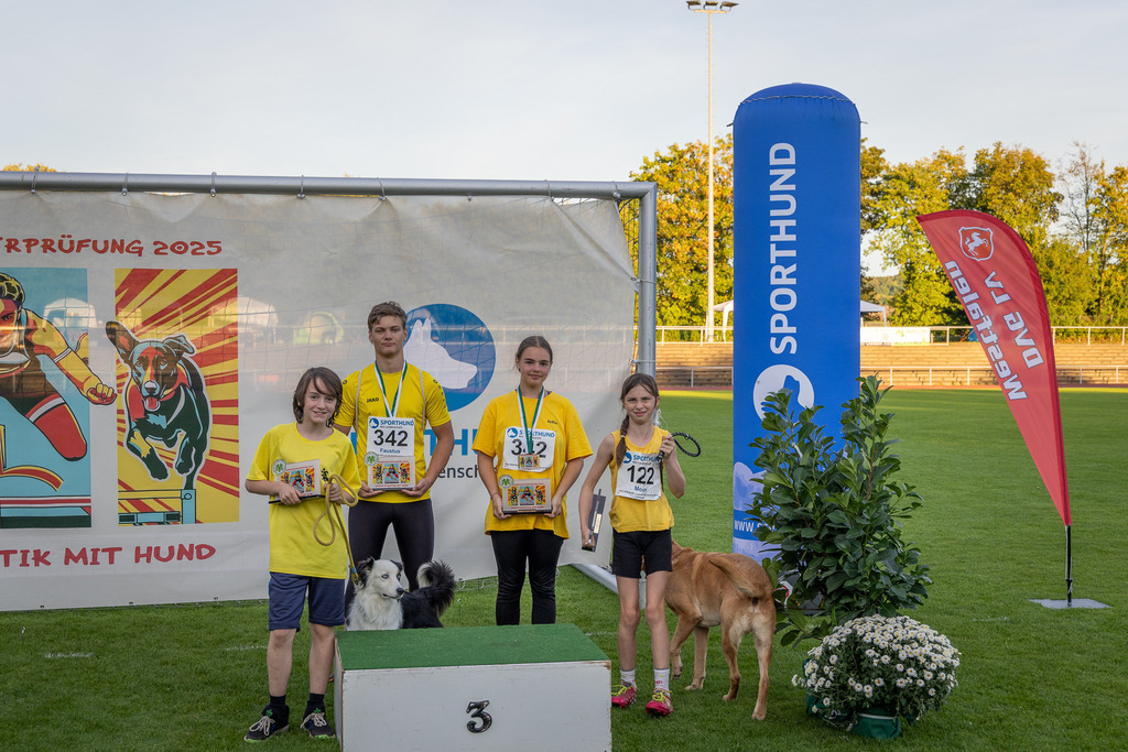 Pfotenfotografie_DV3A4911-2 | Hundefotografie, Tierfotograf, Pfotenfotografie, Fotoshooting Hund, Hunde Portrait, Hundesport, Hundeportraits, Heideshooting, Hunde, Sportfotograf, Hundefotograf, Turnierhundsport, THS,  - Realisiert mit Pictrs.com