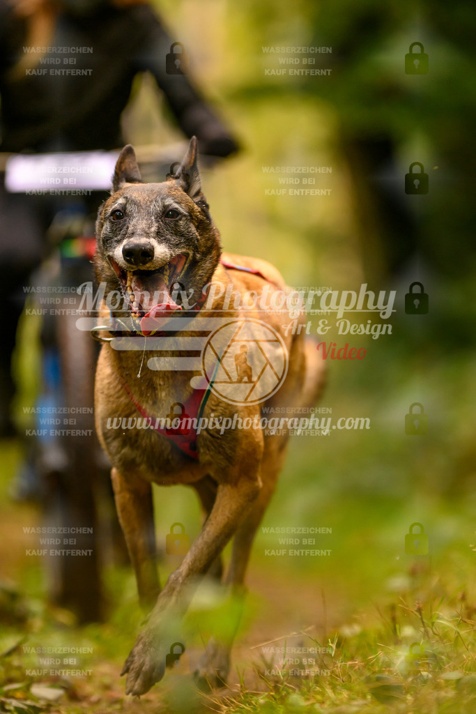 MompixPhotography_Yens2025_B2-140 | PayLife