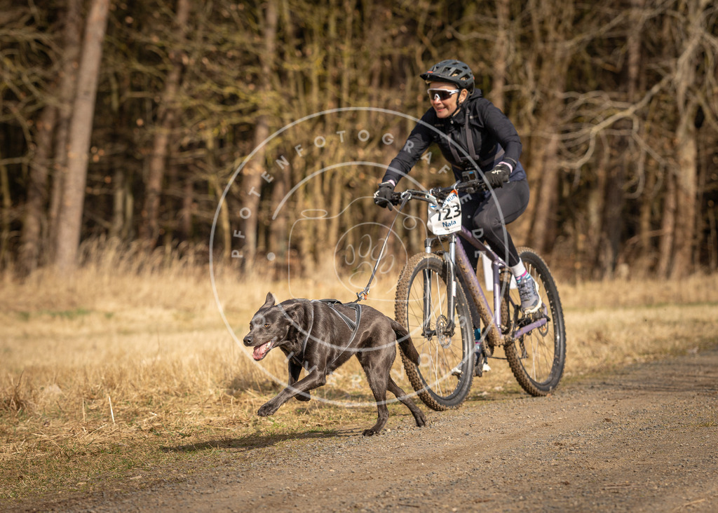 DV3A4445 | Hundefotografie, Tierfotograf, Pfotenfotografie, Fotoshooting Hund, Hunde Portrait, Hundesport, Hundeportraits, Heideshooting, Hunde, Sportfotograf, Hundefotograf, Turnierhundsport, THS,  - Realisiert mit Pictrs.com