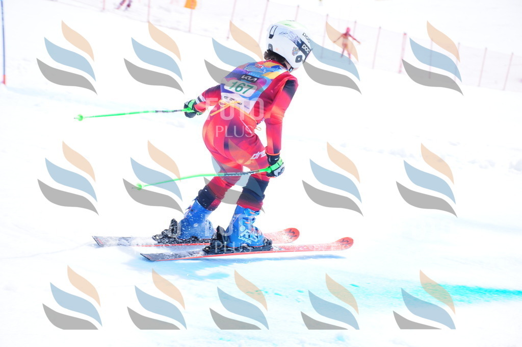 DSC_1461 | holidayphoto