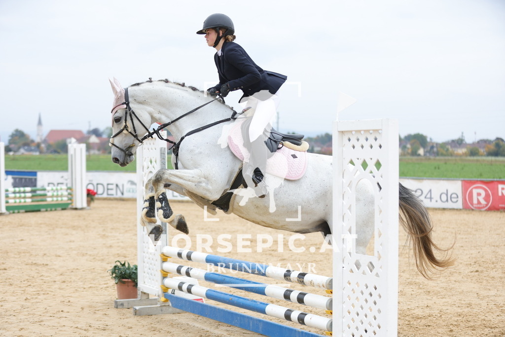0P6A1283 | Willkommen bei Brunnmayr - Design & Fotografie – Ihrem Spezialisten für Reitturniere und Pferdeveranstaltungen in Oberösterreich, Salzburg und Bayern! Seit über 17 Jahren sind wir leidenschaftlich dabei.