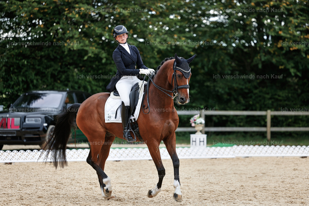 11-048-Dressur S___-StoibPH-1410 | working equitationturnier fotograf videograf stoibphotography marixx film working equitation deutschland reitsport turnierfotografie eventfotografie equestrian events