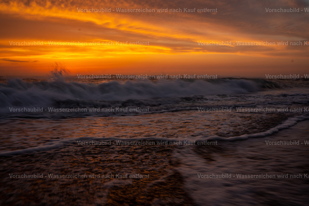 DSC03157 | marcuslinek