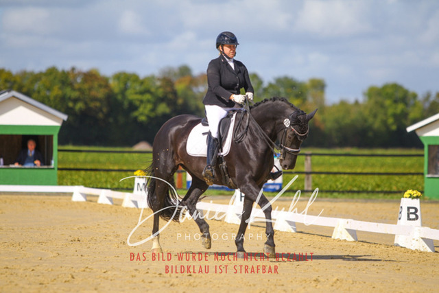 DKP45246 | Turniersportfotografie; Pferdefotografie; Dressurfotografie