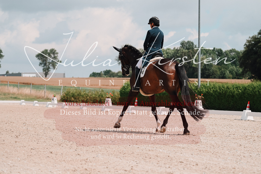 DSC_3848 | Pferde- und Turnierfotografie in Westsachsen. Pferdeportraits, Auftragszeichnungen und intuitive Kunst.