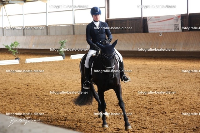 JugendTrophy0211 | Fotografie, Tiere, Hunde, Katzen, Pferde, Sportfotografie, Fotosession, Tierfotografie, Turnierfotografie, Fotografin, Fotograf - Realisiert mit Pictrs.com