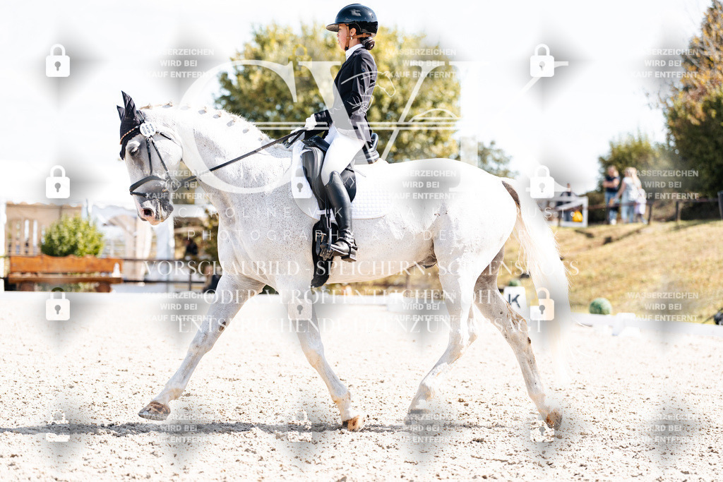 CK902991 | Turnierfotografie Pferdefotografie Trier Rheinland-Pfalz Pferdesport Reitsport Tierfotografie Sportfotografie Pferdevideo Pferdevideografie Equestrianvideography equestrianphotography  - Realisiert mit Pictrs.com
