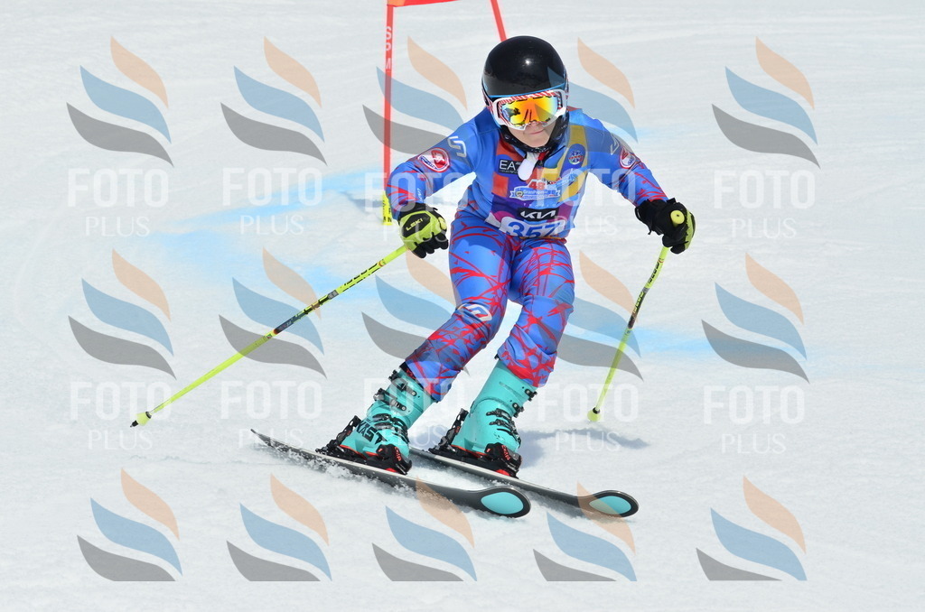 _ELE2788 | holidayphoto