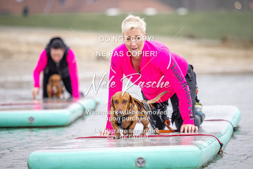 nelerasche_Hulsbeek_Sa1030-1100_387 | nelerasche