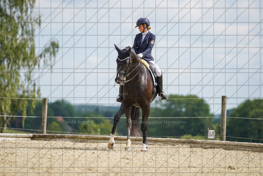 20230826-FAH05830 | Forstinning, 2023, Dressurturnier, Turniersportbilder, Turnierfotografen Bayern, Fotoagentur Herrmann, Reitsportfotografie, Turnierbilder