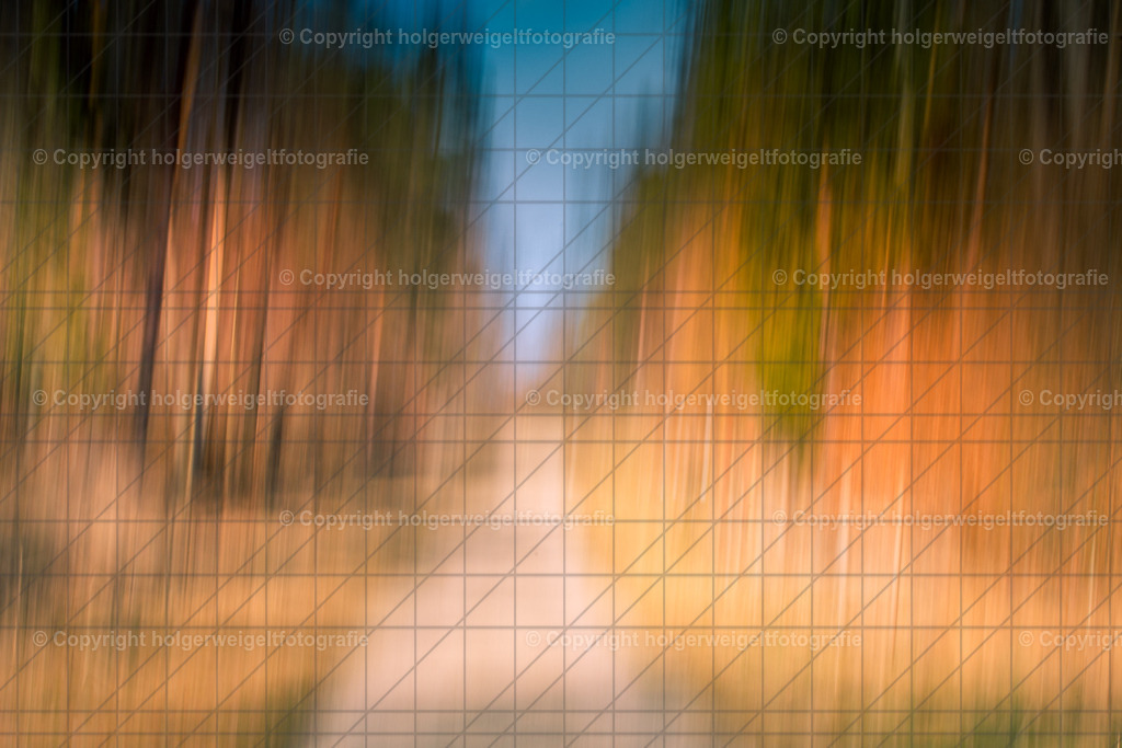 20240317122716D75_2164 | Kaufen sie online außergewöhnliche Fotografien auf Leinwand Acrylglas Fotoprint Aludibond von holgerweigeltfotografie - Realisiert mit Pictrs.com