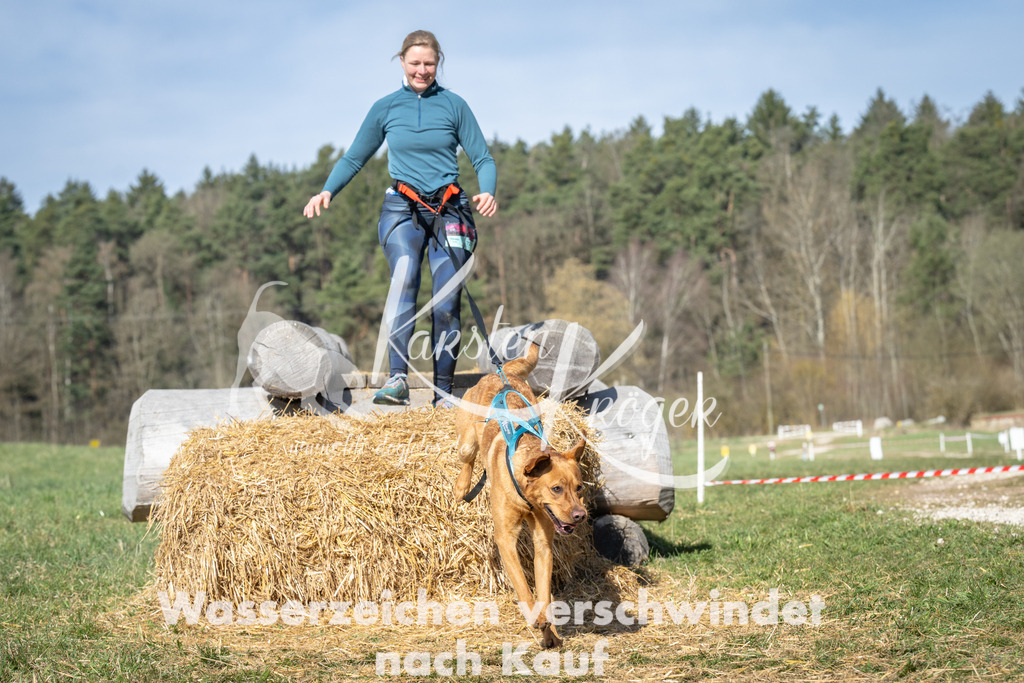 1023_ZZ91185 | kk-dogfotos