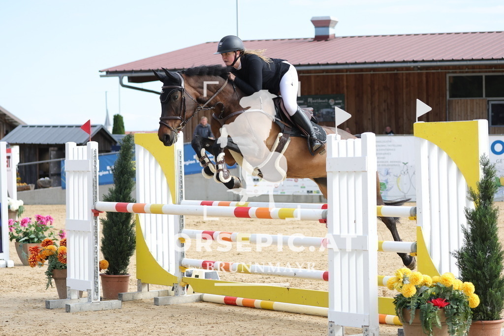 0P6A6367 | Willkommen bei Brunnmayr - Design & Fotografie – Ihrem Spezialisten für Reitturniere und Pferdeveranstaltungen in Oberösterreich, Salzburg und Bayern! Seit über 17 Jahren sind wir leidenschaftlich dabei.