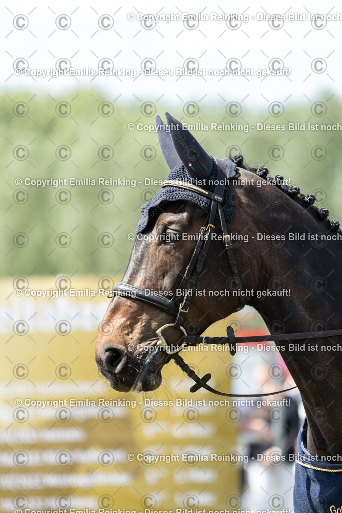 CL5A9207 | Emilia Reinking Fotografie - Realisiert mit Pictrs.com