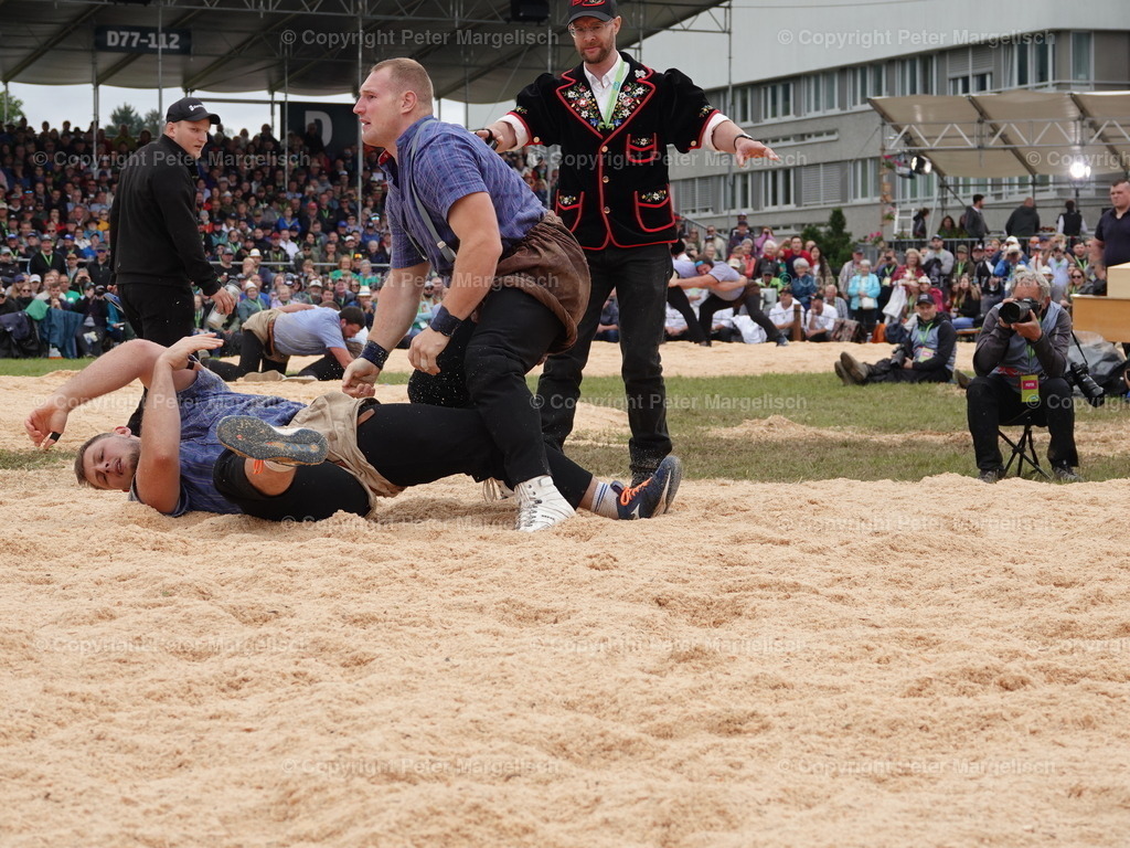 DSC08067 | Schwingen - Realisiert mit Pictrs.com