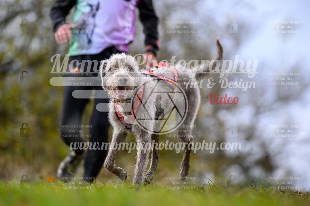 MompixPhotography_2OATB_SO_Run-34 | PayLife