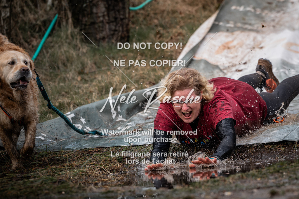 nelerasche_1330-1400_231 | nelerasche