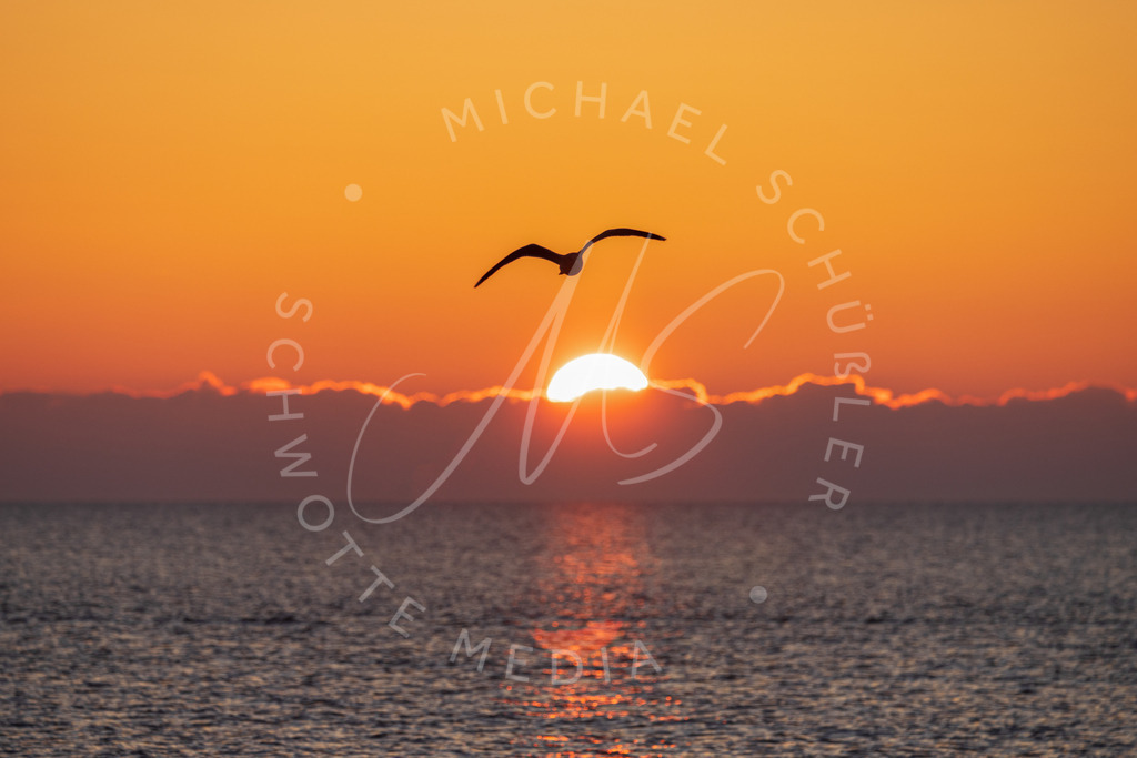 2023-01-21 SPO Strand Sonnenuntergang - 013 | Schwotte Media - Realisiert mit Pictrs.com