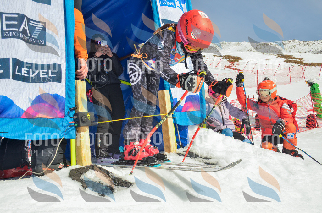 _ELE4846 | holidayphoto