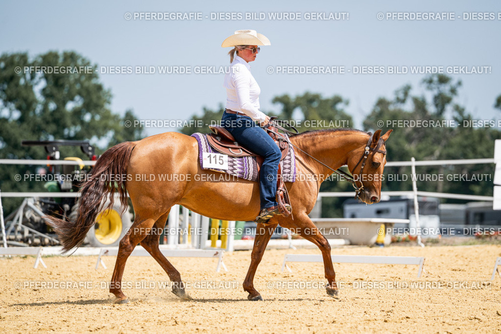 DSC00780 | Pferdegrafie