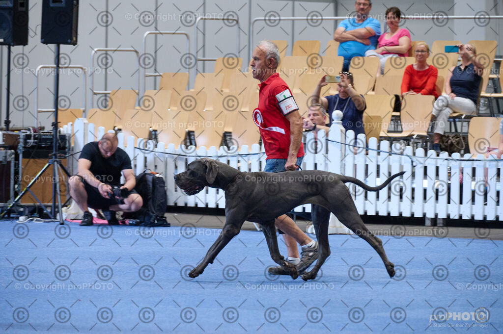 202406_ÖKV-IHA-Tulln24_DSC_4954 | proPHOTO - Realisiert mit Pictrs.com