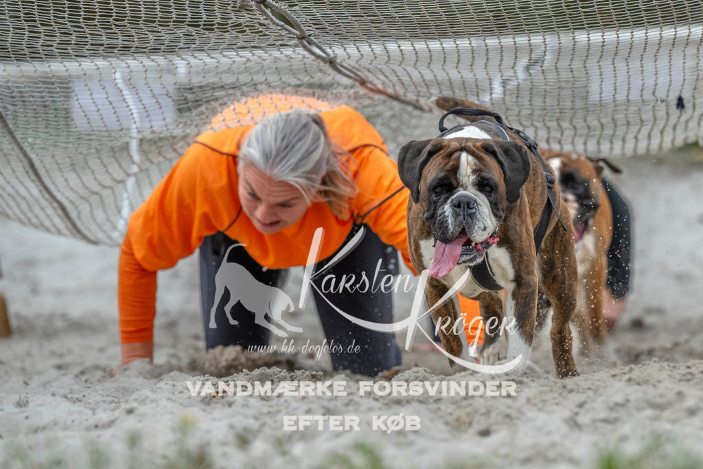 1021_ZZ93767 | kk-dogfotos