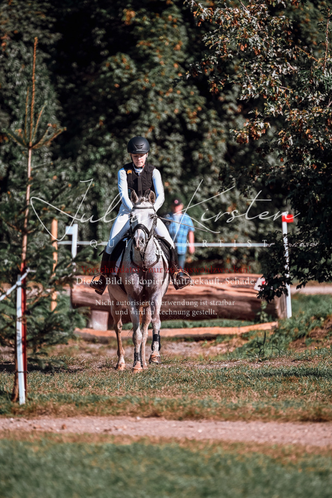 DSC_0655 | Pferde- und Turnierfotografie in Westsachsen. Pferdeportraits, Auftragszeichnungen und intuitive Kunst.