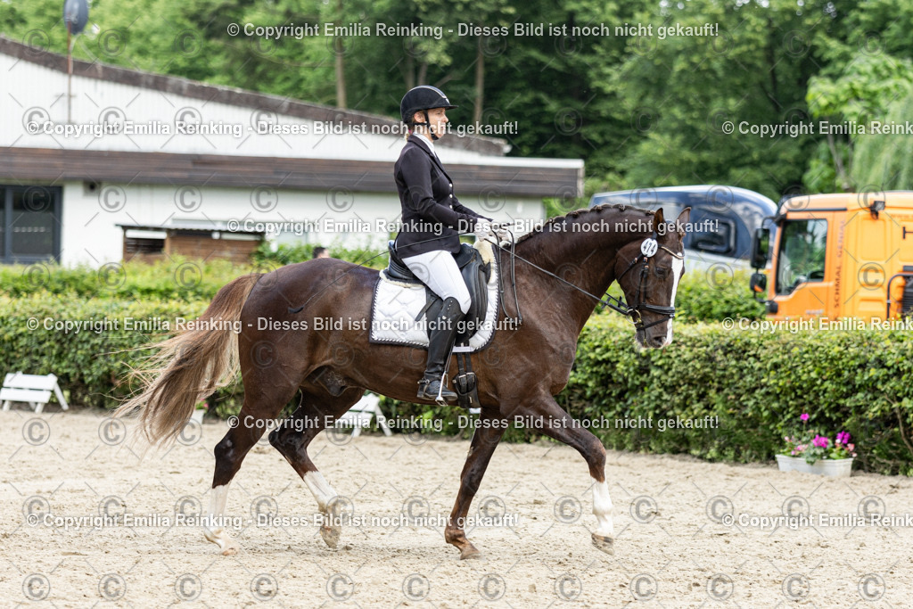 CL5A6500-2 | Emilia Reinking Fotografie - Realisiert mit Pictrs.com