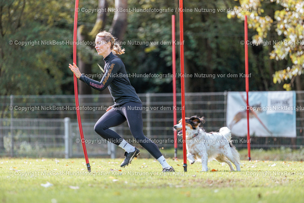 THS-HSV-Blumenthal-2026-Nickbest-Hundefotografie-2951 | Dein Hund! Dein Moment! Deine Erinnerungen! Hundefotografie in Bremen Blumenthal. Ich fange die besonderen Momente deines Vierbeiners ein – ob Indoor mit Blitzanlage oder in der freien Natur. Sicher dir dein Moment und dein Termin für eure Erinnerungen.