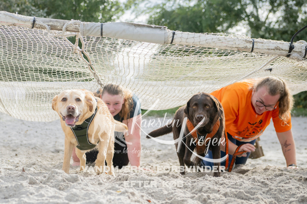 1336_ZZ97933 | kk-dogfotos
