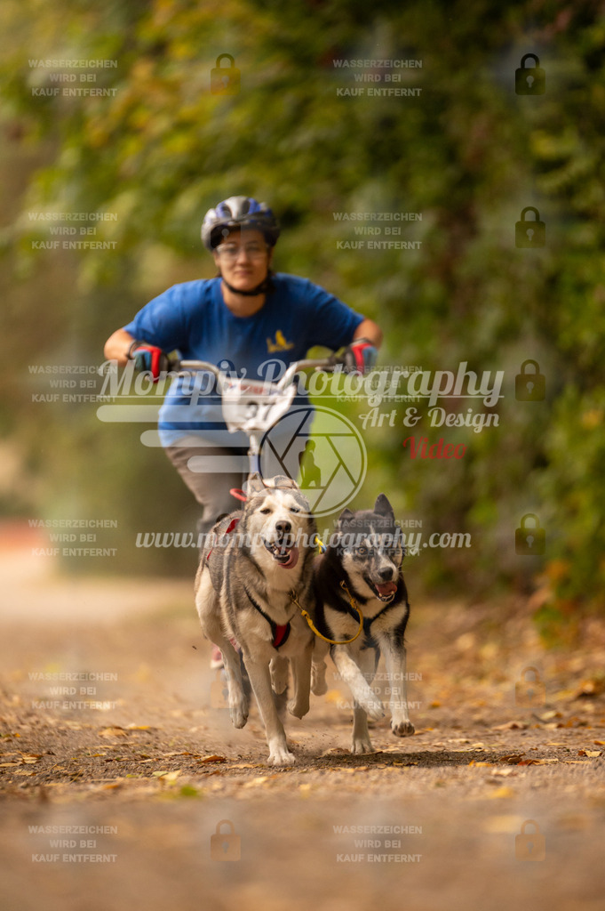 CDLBDB_14_10_2023_Samedi-47 | PayLife