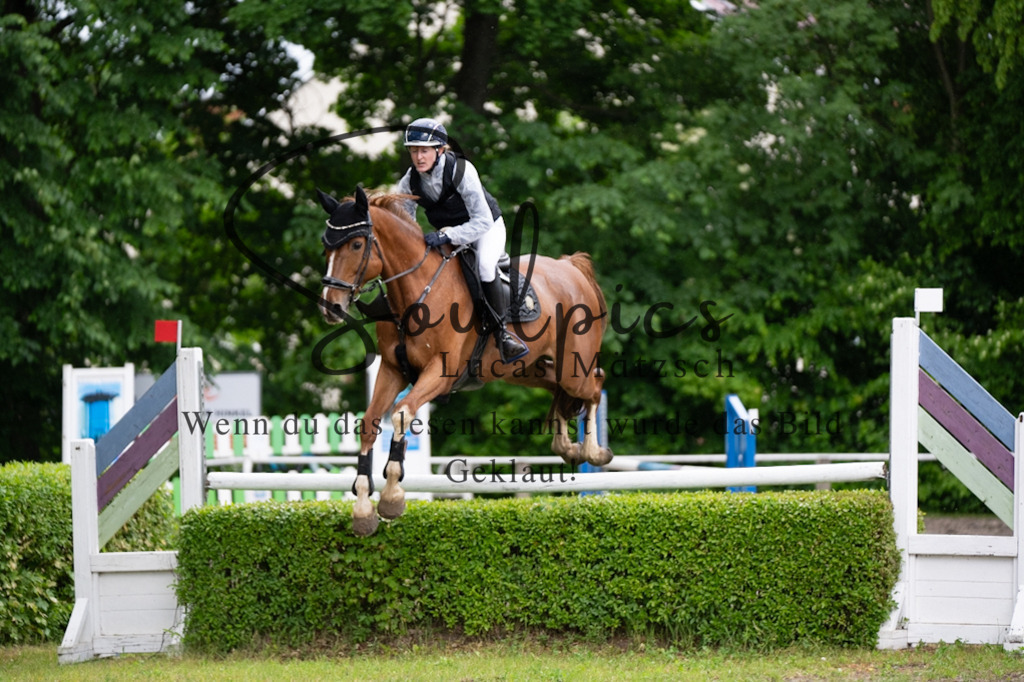 A7V05127 | Pferdefotograf