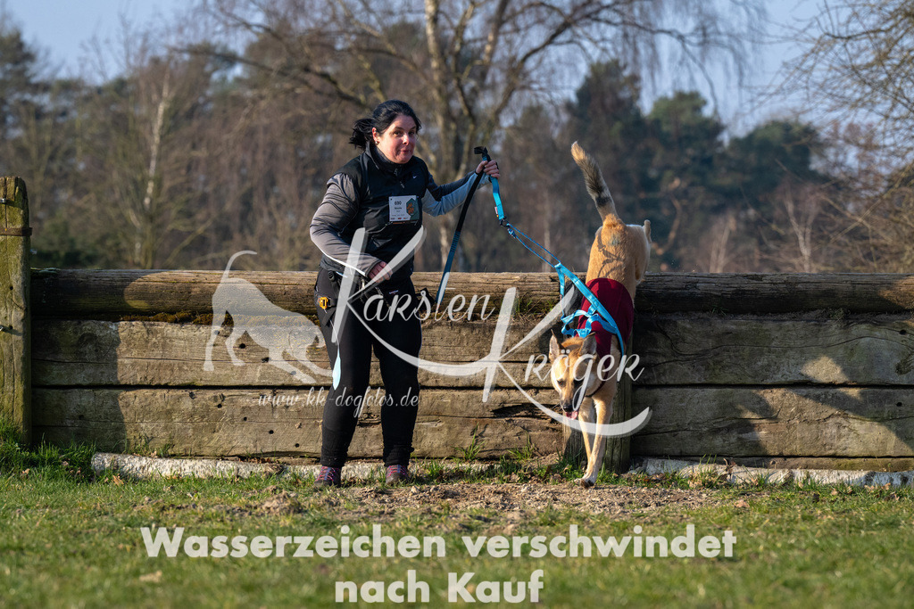 _ZZ92490 | kk-dogfotos