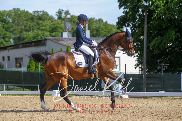 DKP41187 | Turniersportfotografie; Pferdefotografie; Dressurfotografie