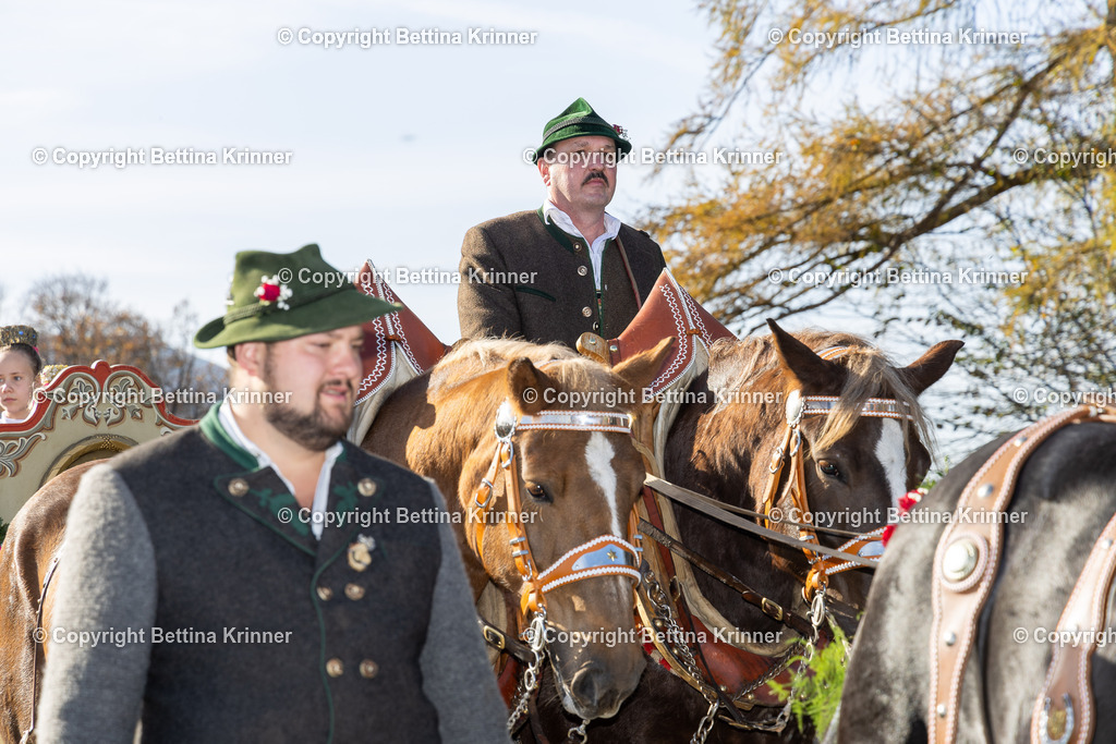 LBT24-1444 | foto-bettina-krinner - Realisiert mit Pictrs.com