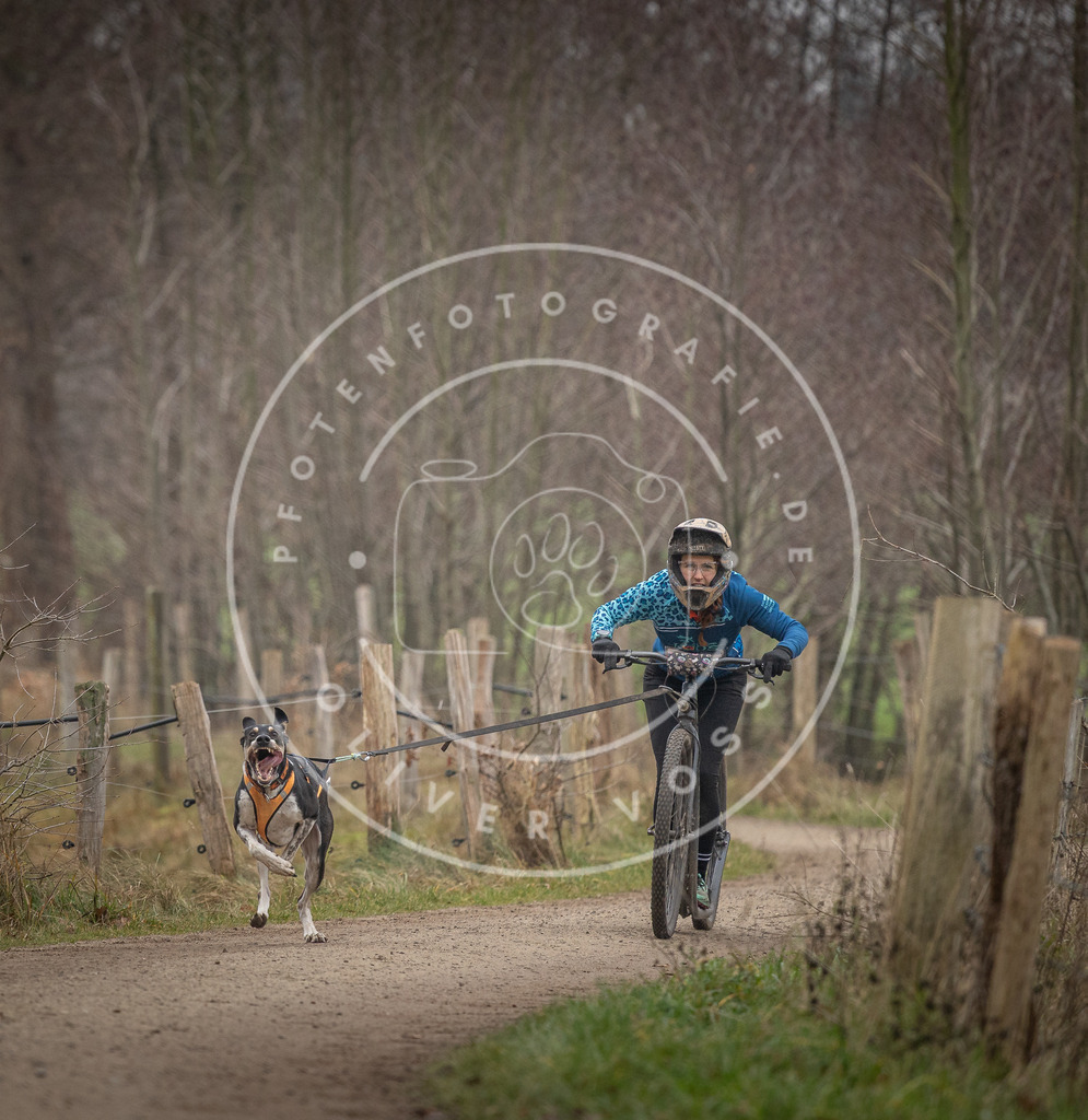 Pfotenfotografie_DV3A2229 | Hundefotografie, Tierfotograf, Pfotenfotografie, Fotoshooting Hund, Hunde Portrait, Hundesport, Hundeportraits, Heideshooting, Hunde, Sportfotograf, Hundefotograf, Turnierhundsport, THS,  - Realisiert mit Pictrs.com