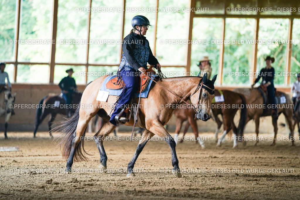 DSC05178 | Pferdegrafie