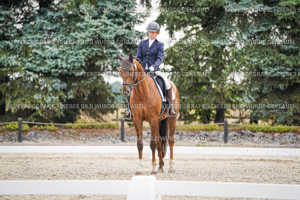 DSC00393 | Pferdegrafie