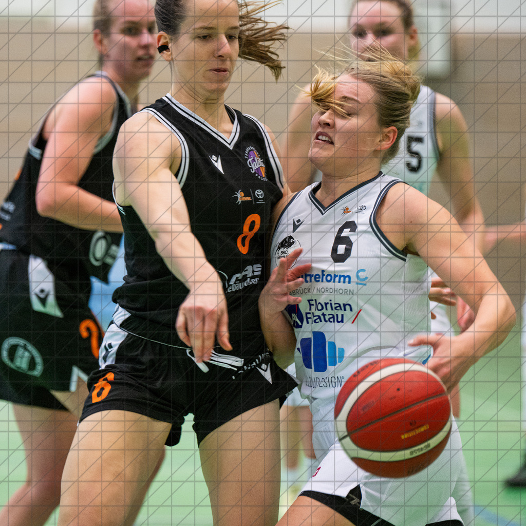 2. DBBL Nord 24/25 | 16.02.2025 | BBC OS vs. Talents BonnRhöndorf | 2. DBBL Nord 24/25 | 16.02.2025 | BBC OS vs. Talents BonnRhöndorf - - - - - CREDIT, www.bullenfotos.de, Martin König, Hörner Weg 40, D-49078 Osnabrück, +4917663732967, Nutzung und Weitergabe nur zu den vereinbarten Zwecken. Presseanfragen an Urheber. Alle Rechte beim Urheber. - - - - - - Realisiert mit Pictrs.com